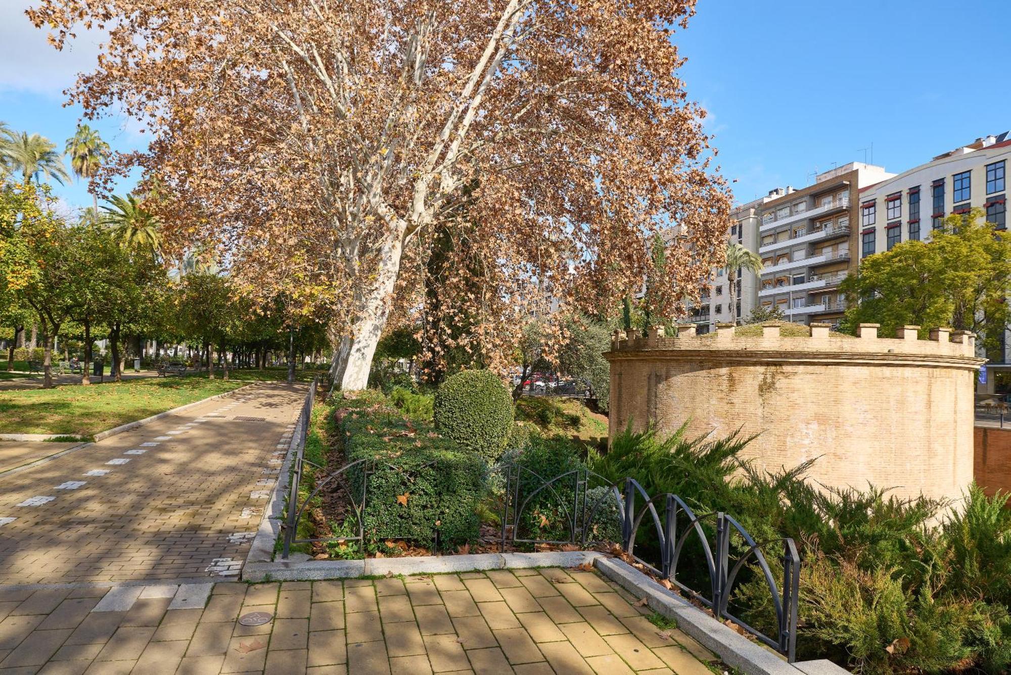 Apartamento Centro Cordoba Exterior photo